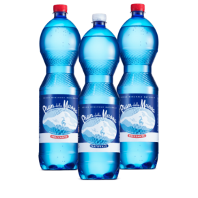 ACQUA PIAN DELLA MUSSA - confez. 6 bott. da 1,5 lt.