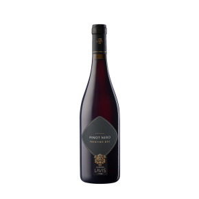 PINOT NERO TRENTINO D.O.C. LA VIS - 75 cl.