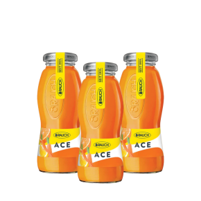 SUCCO ACE RAUCH - confez. 24 bott. da 20 cl.