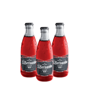 GINGER BIO SAN BERNARDO - confez. 12 bott. da 26 cl.